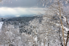 Winter Wonderland