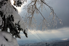 Winter Wonderland