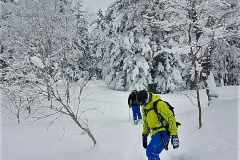 Winter Wonderland