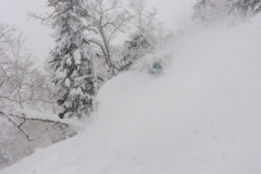 Luca lost in the JaPow